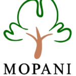 mopani